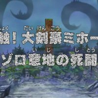 one piece cap 509