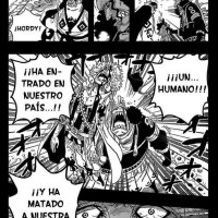 one piece capitulo 627