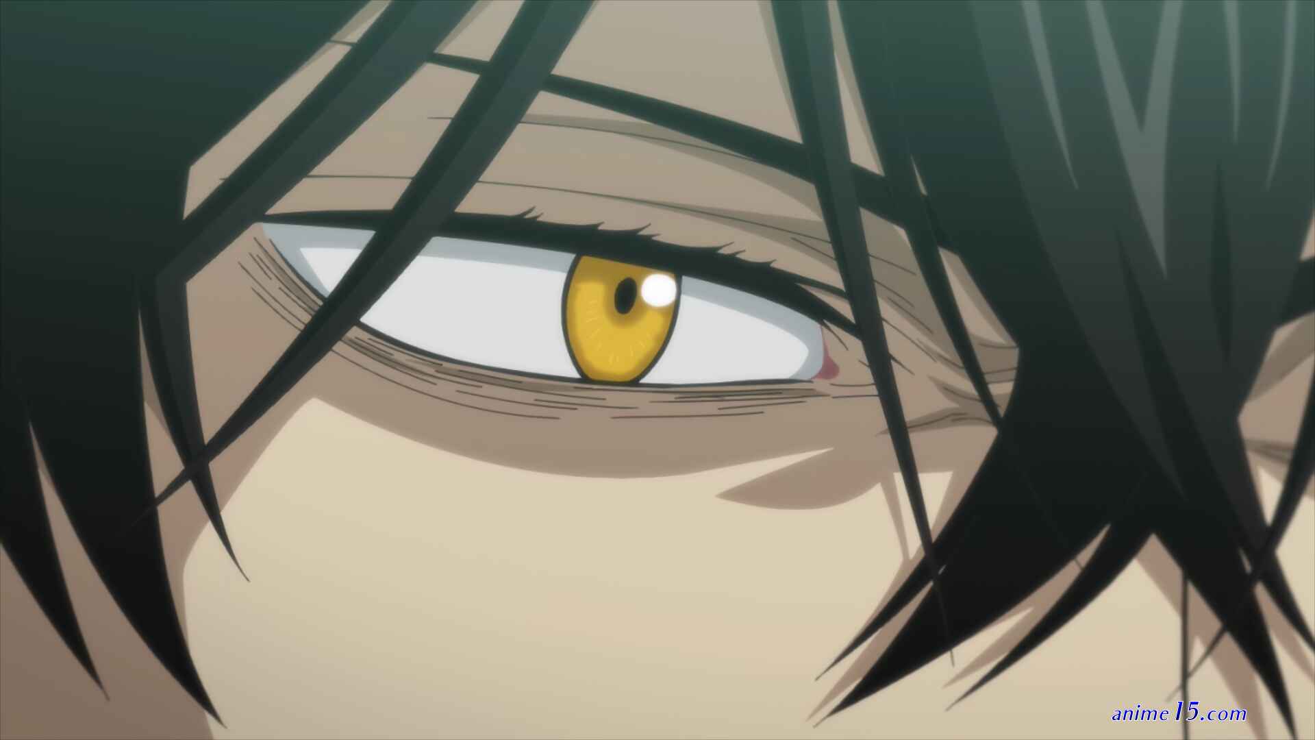 anime tosho torrent