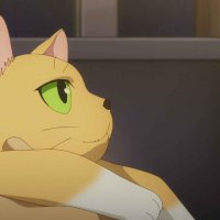 anime tosho torrent