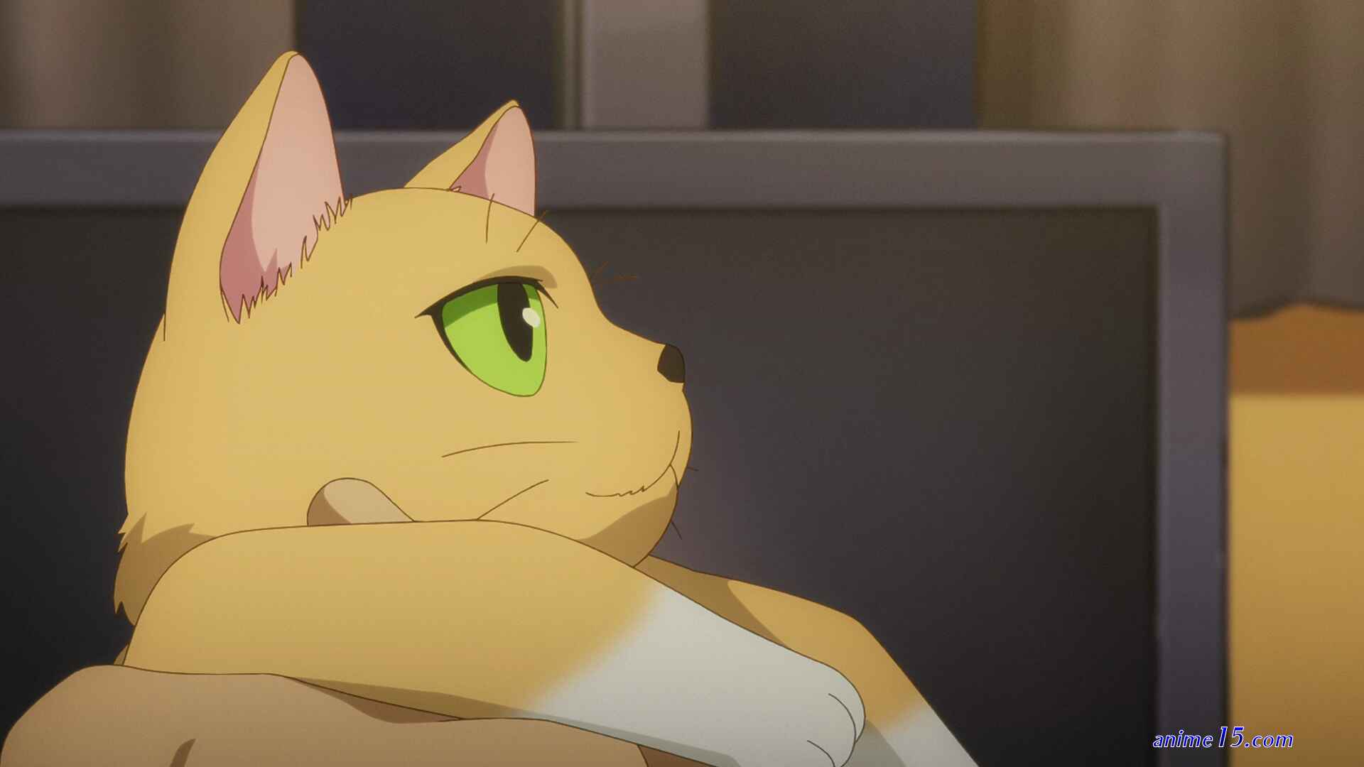 anime tosho torrent