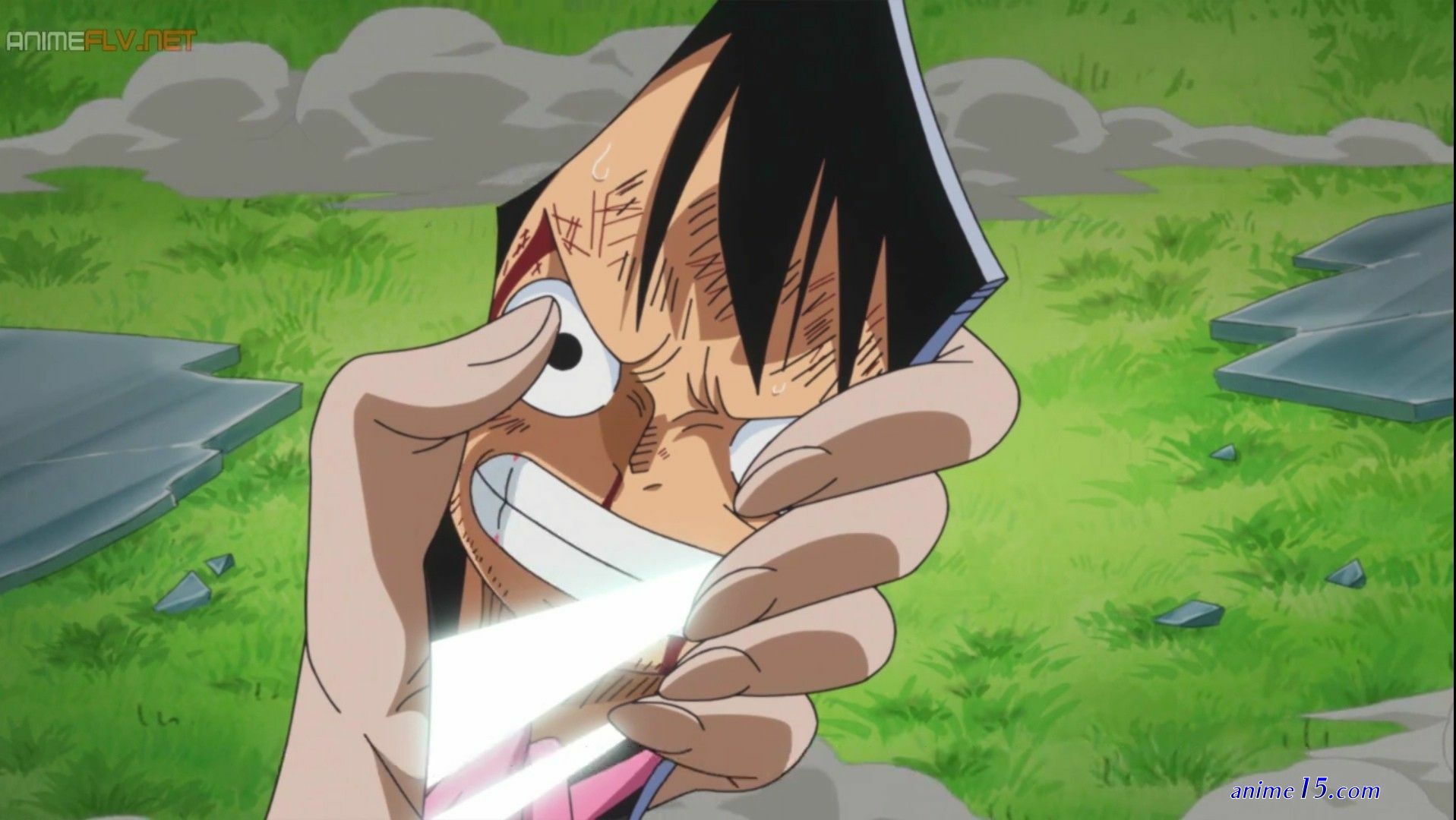 one piece capitulo 725 anime flv
