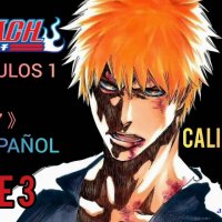 bleach sub