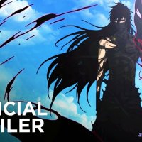 bleach sub