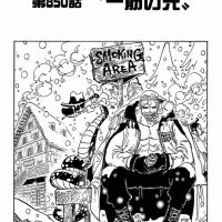 one piece850