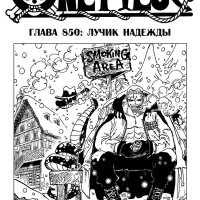 one piece850
