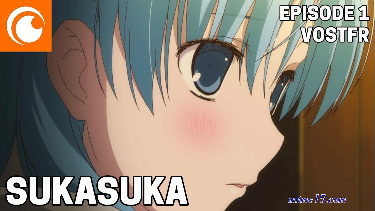 nande koko ni sensei ga ep 1 vost fr