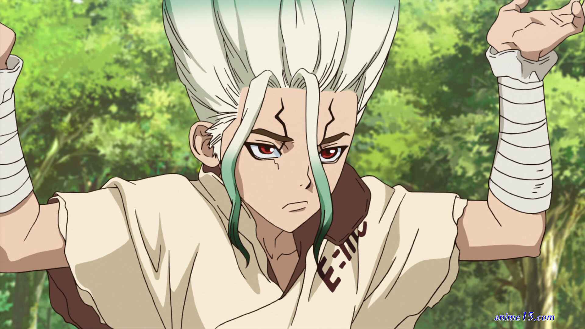dr stone completo dublado anime zeira