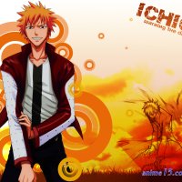 bleach gogo anime