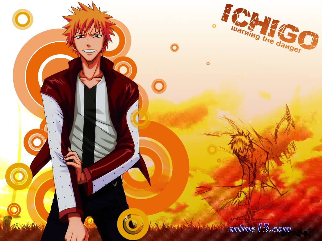 bleach gogo anime
