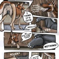 anthro x feral porn comics