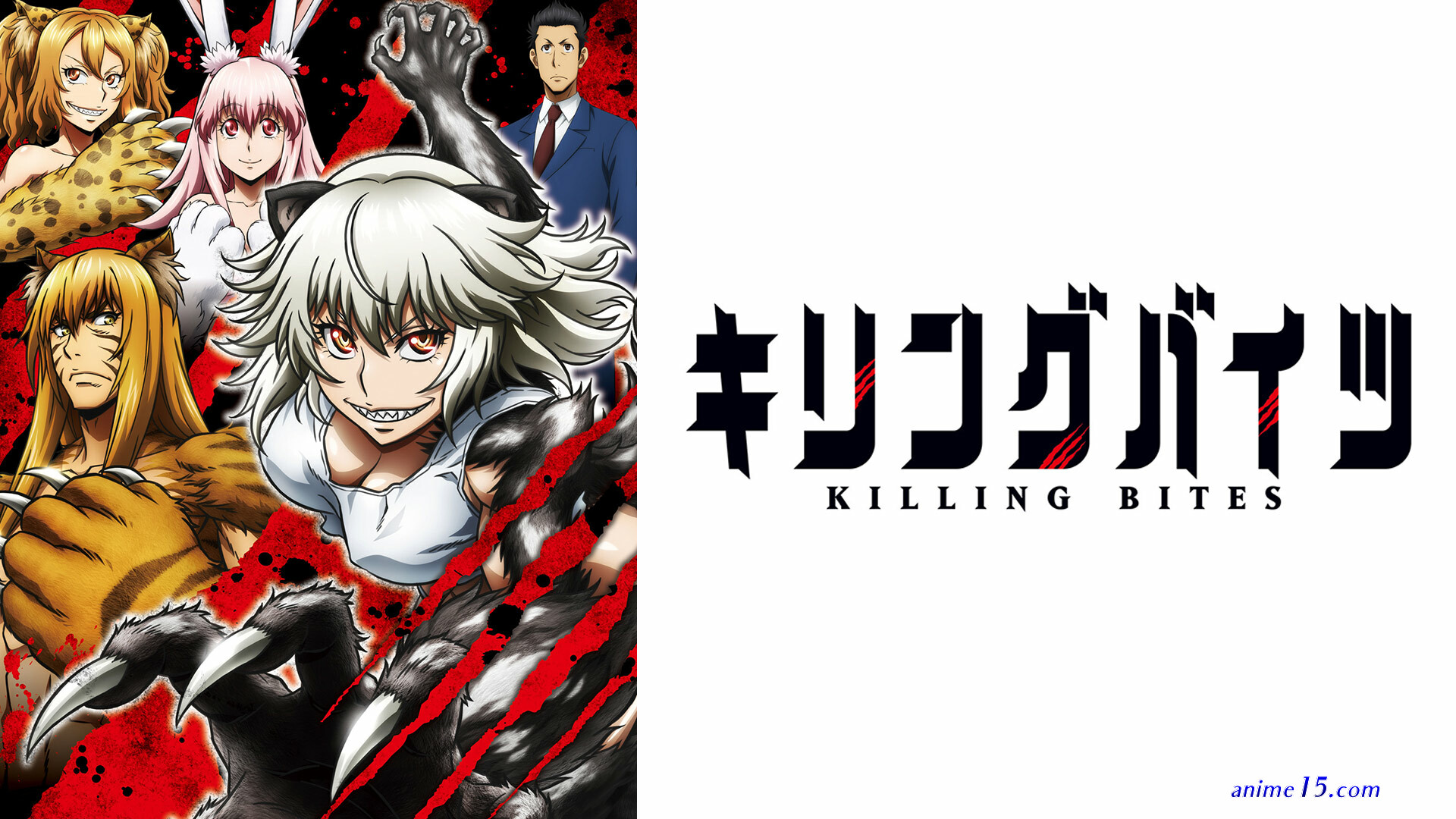anime download vostfr