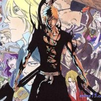 bleach gogo anime