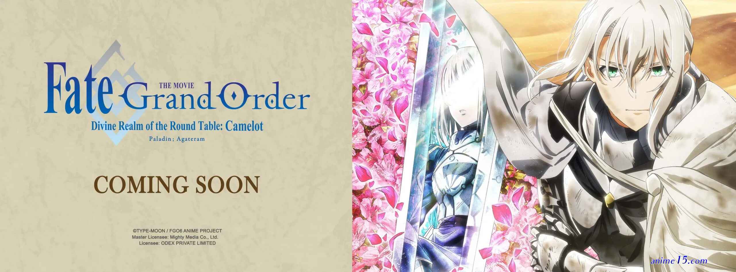 descargar fate grand order paladin agateran pelicula