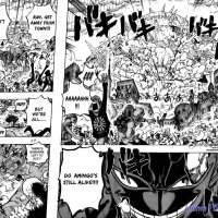 one piece 786