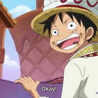 one piece 786