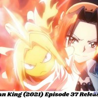 watch shaman king episode 37