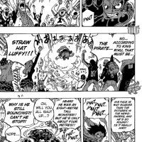 one piece 786
