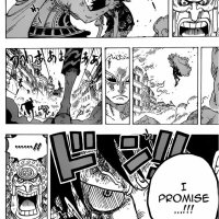one piece 786