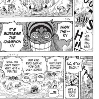 one piece 786