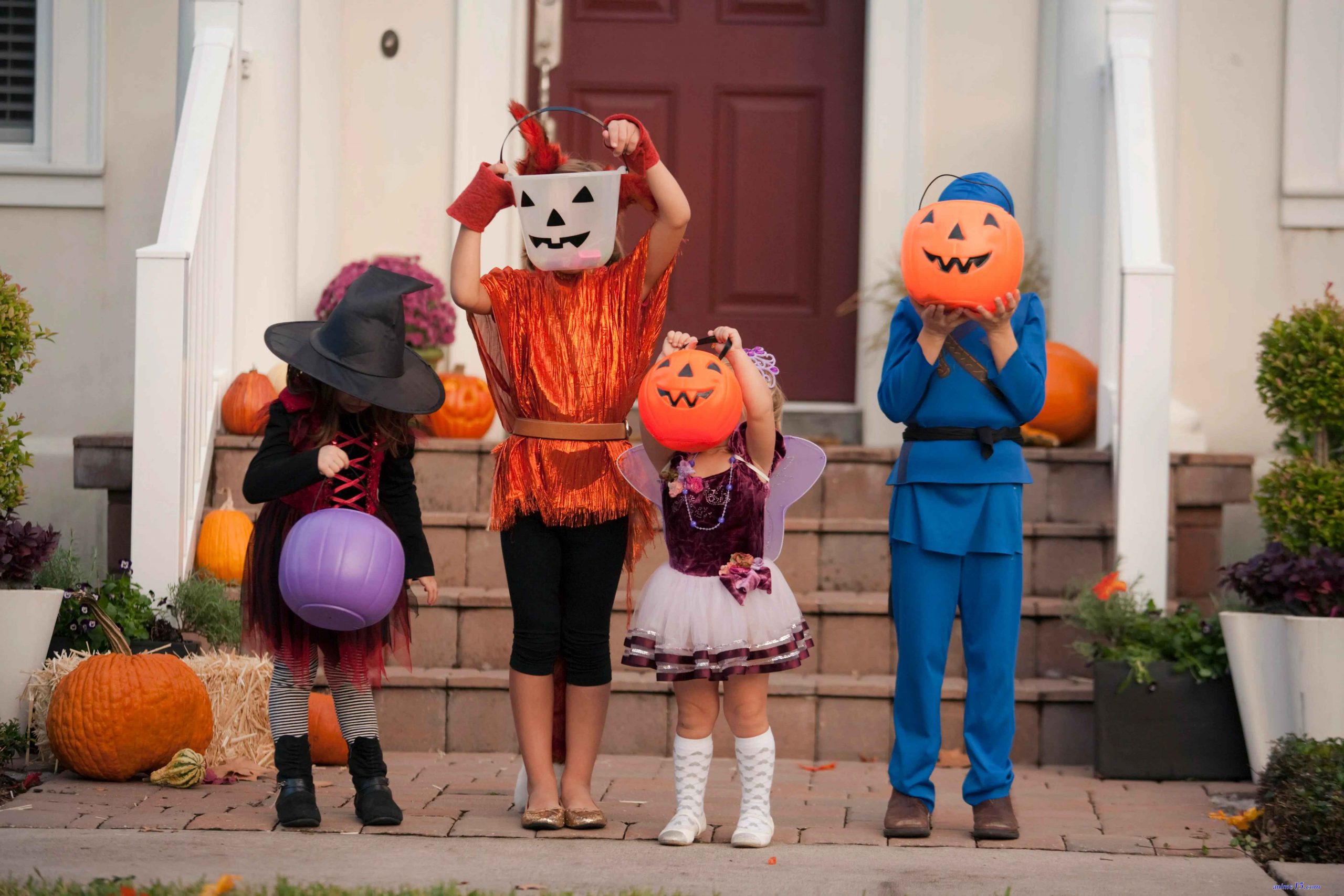 everforever trick or treat4