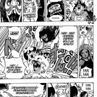 one piece capitulo738