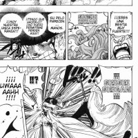one piece capítulo 406