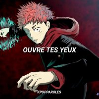 jujutsu kaisen vostfr