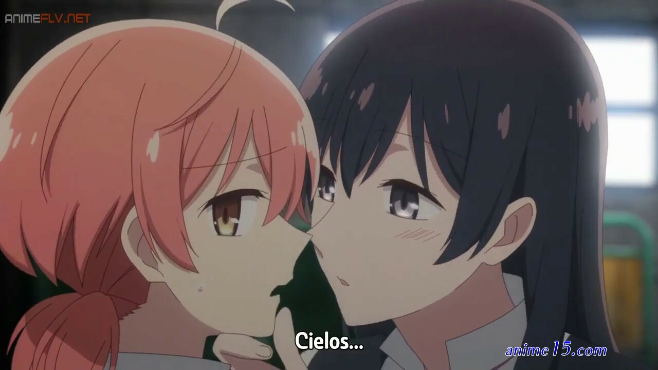 domesric na kanojo anime flv