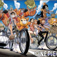 onepice 325