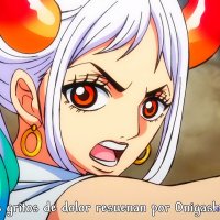one piece capitulo738
