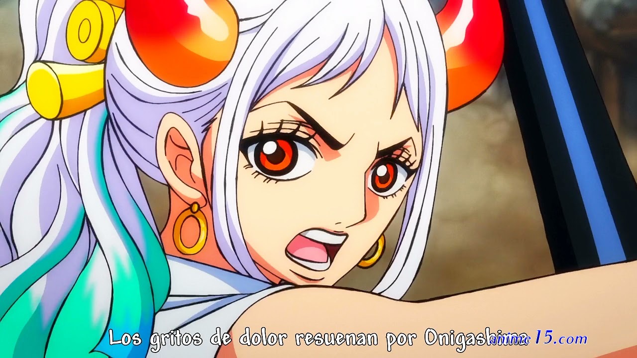 one piece capitulo738