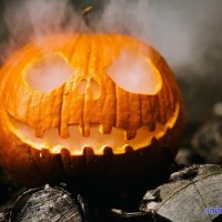 everforever trick or treat4