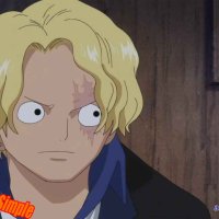 one piece capitulo738