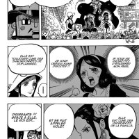 728 one piece