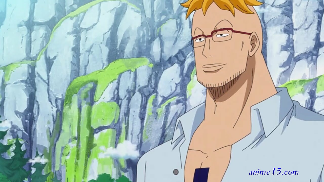 one piece capitulo738