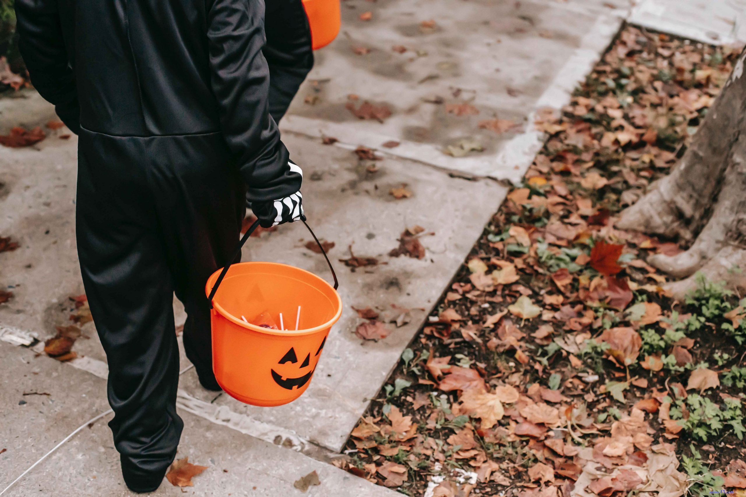 everforever trick or treat4