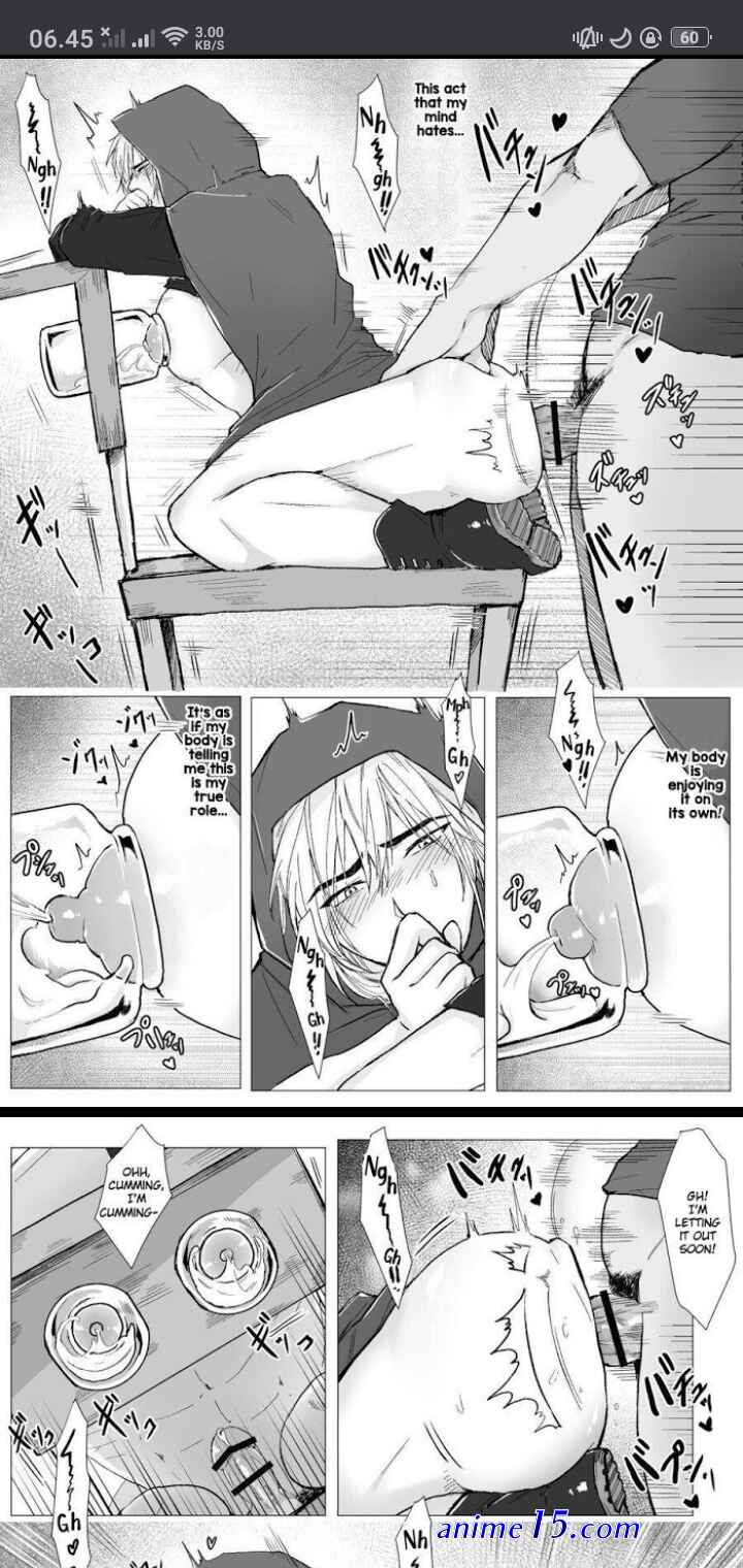 koumei na kishi danchou ga jitsu wa nyuugyuu datta ken