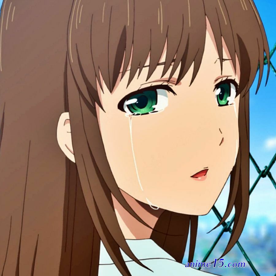 domesric na kanojo anime flv