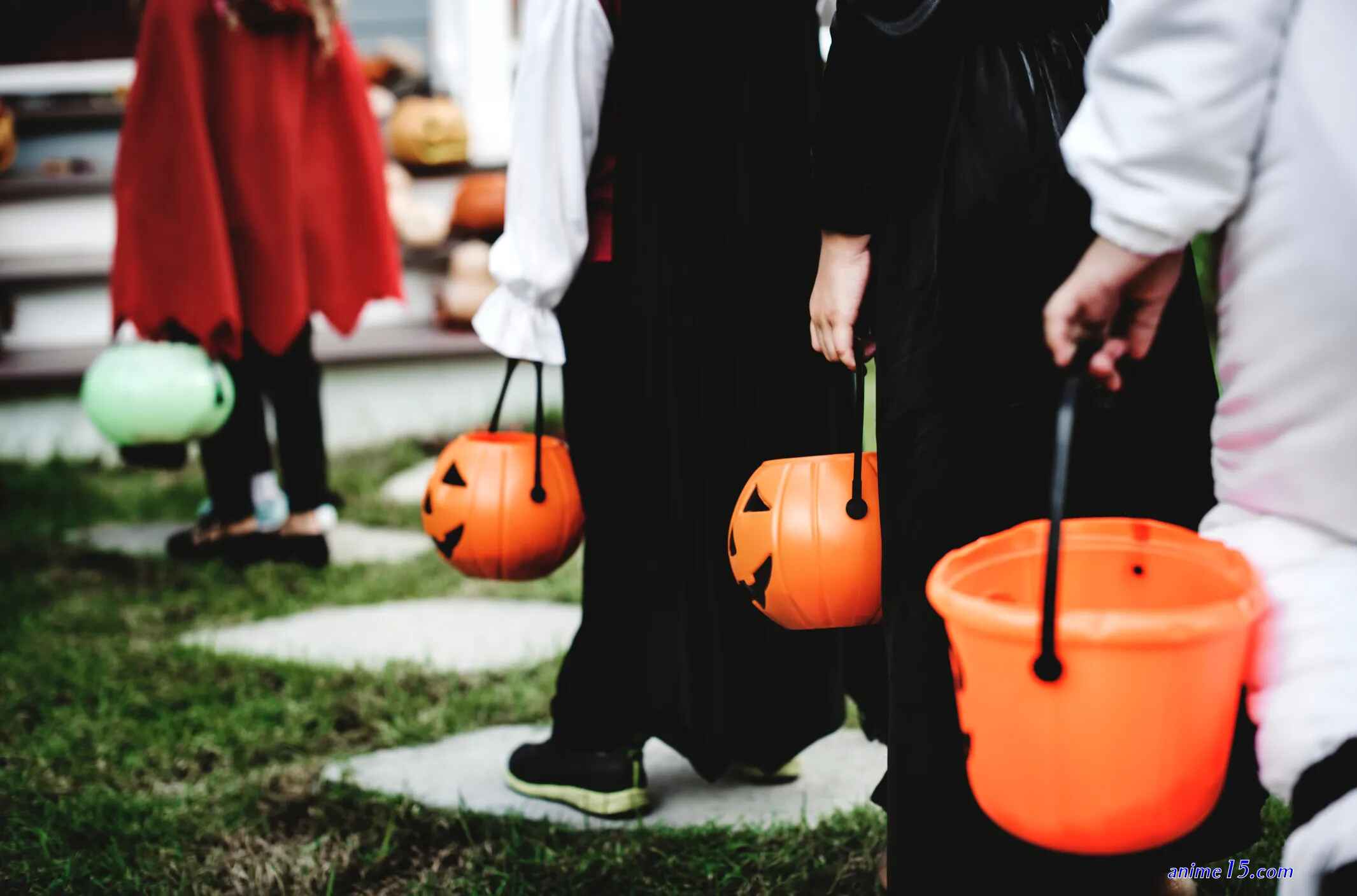 everforever trick or treat4