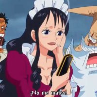 jkanime one piece cap 628 subespanol