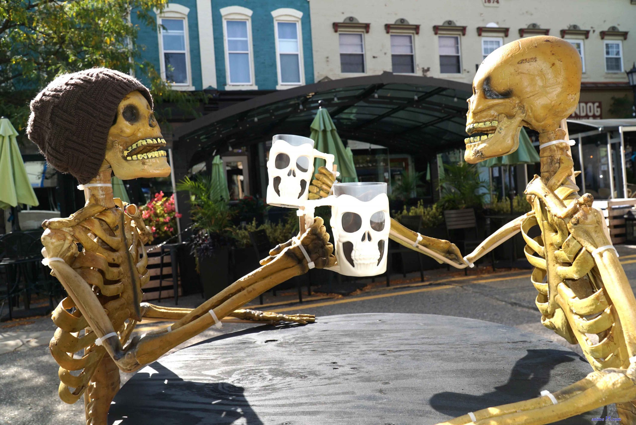 everforever trick or treat4