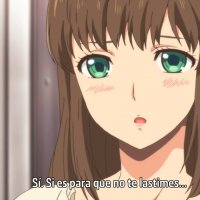domesric na kanojo anime flv