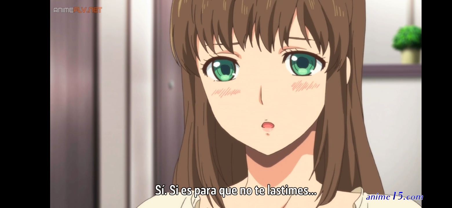 domesric na kanojo anime flv