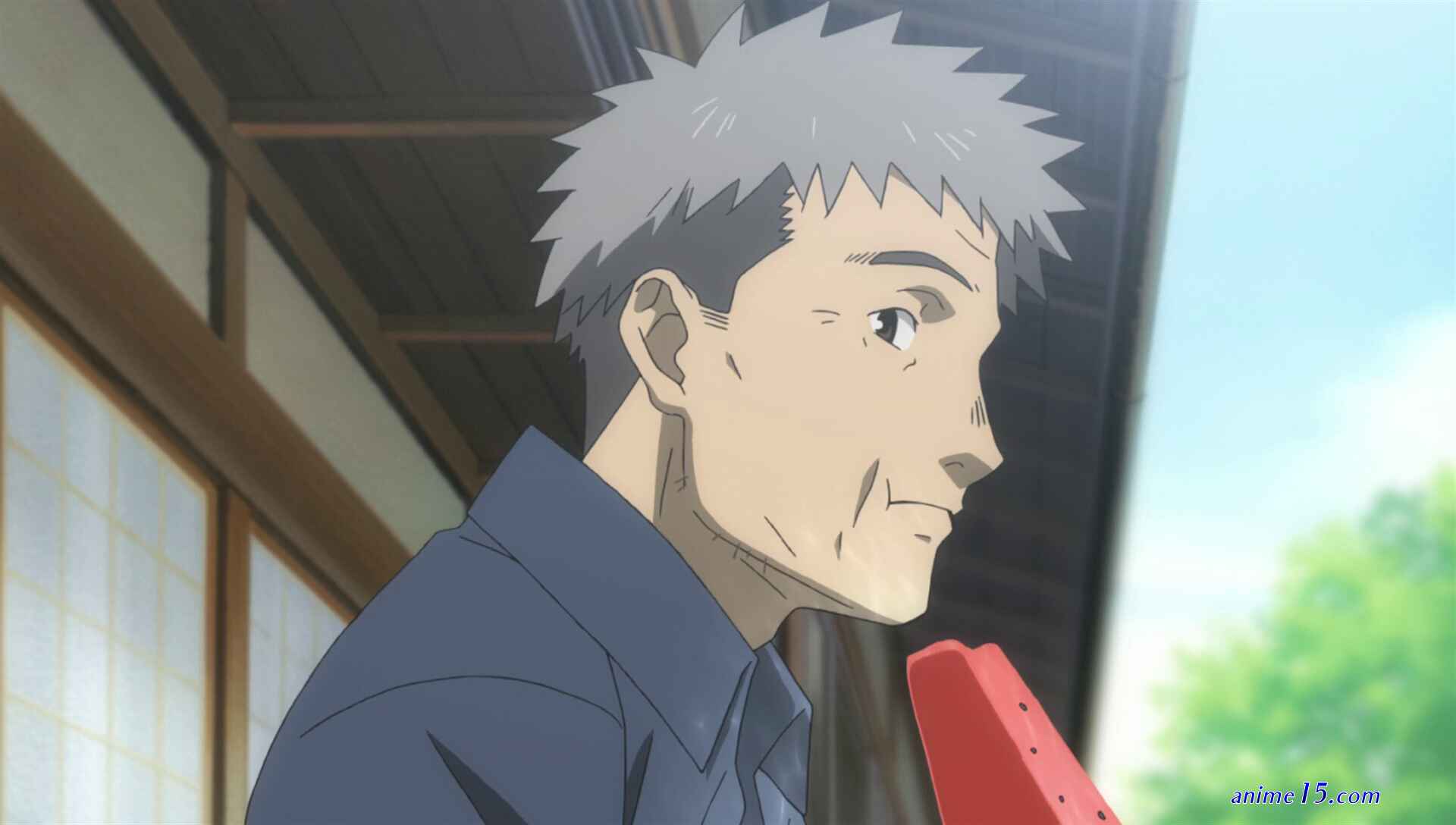 anime vostfr hotarubi