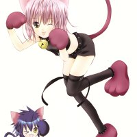 shugo chara vf neko chan