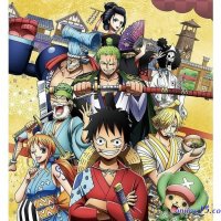 one piece streaming 1005