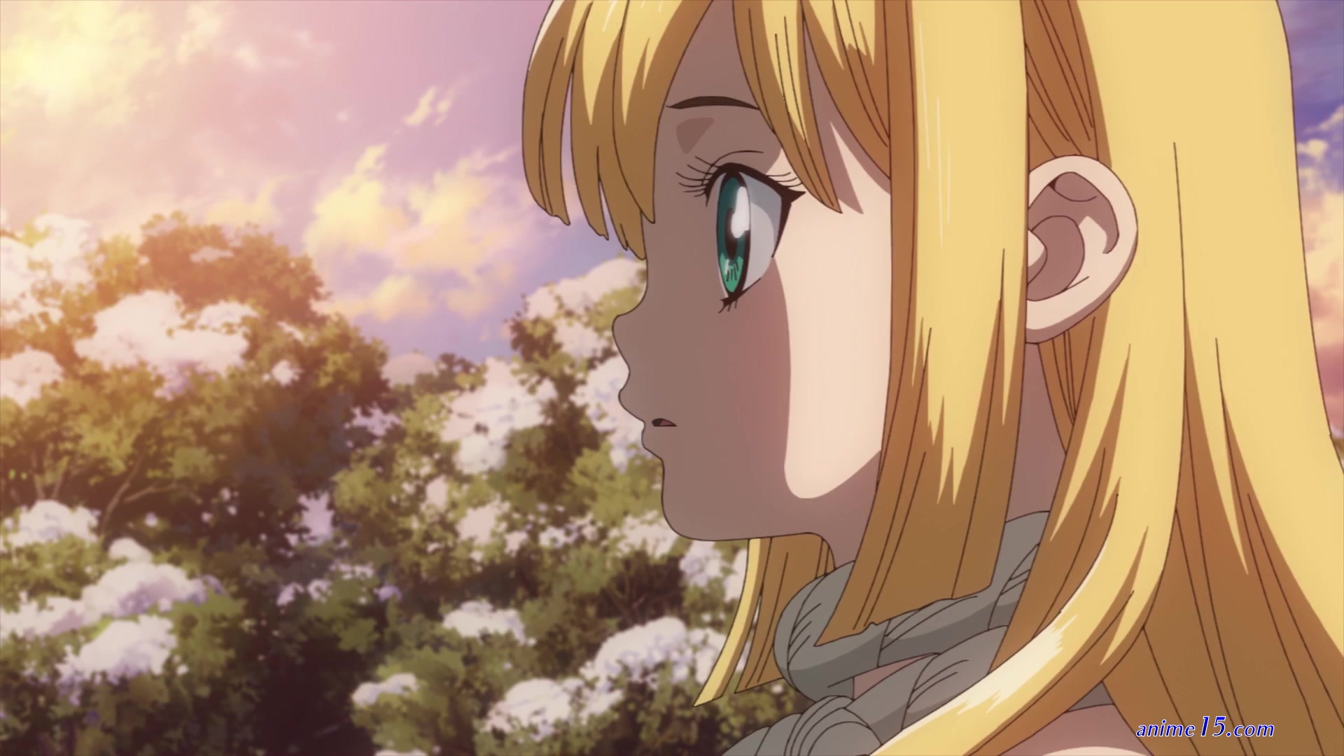 dr stone vostfr
