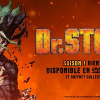 dr stone vostfr