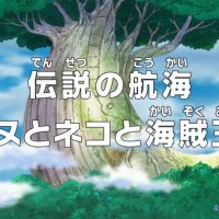 watch one piece episode 772